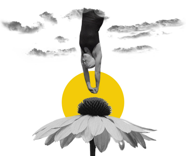 brand identity image